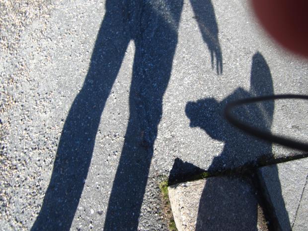 Abusive relationships