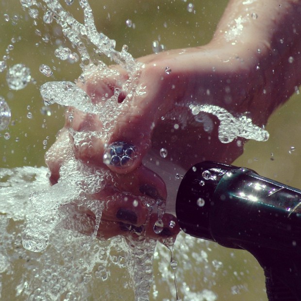 volunteering college transcript