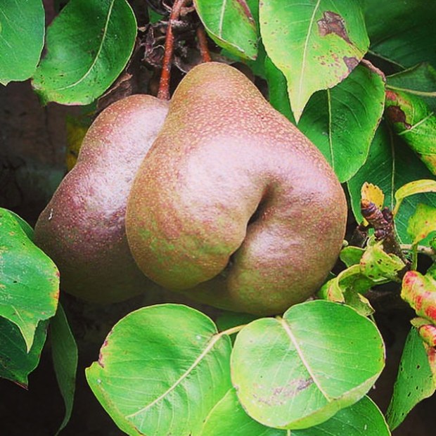 I should put what up wear?!