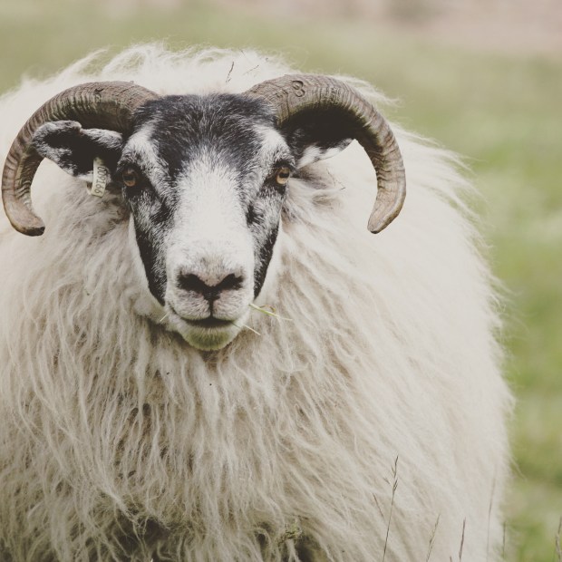 Sleep How To Get Some