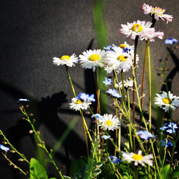 survivors of sexual assault